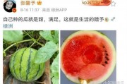 娱乐圈吃瓜料,揭秘明星幕后恩怨情仇